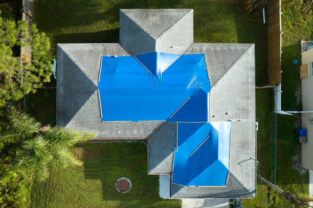 Best Asphalt Shingle Roofing  in Casey, IL