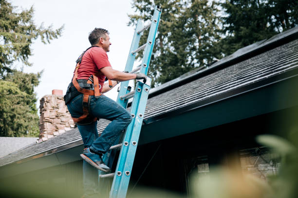 Best Green or Eco-Friendly Roofing Solutions  in Casey, IL